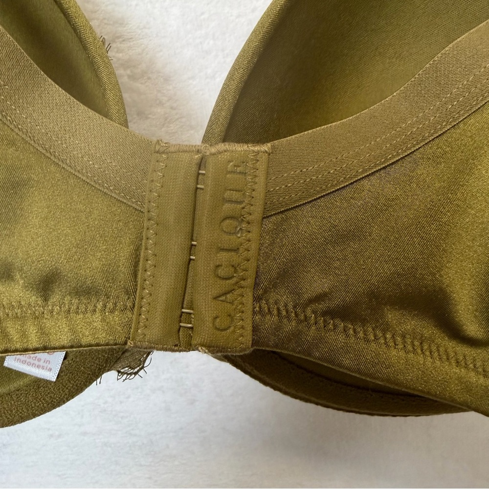 Cacique 38DDD Boost Plunge Bra Olive Green Black Lace NWT Lane Bryant - Picture 4 of 9